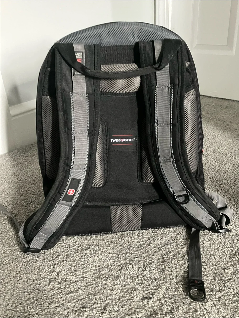 SwissGear this backpack